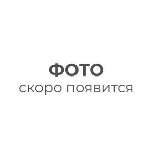 Blackhawk BDR78 295/60 R22.5 ведущие 150/147L