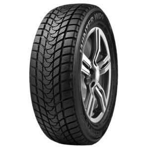 Delinte Winter WD1 175/65 R14 82T