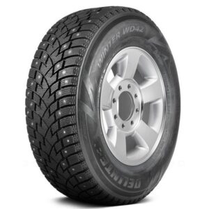 Delinte Winter WD42 195/70 R15 104/102R