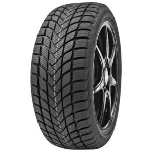 Delinte Winter WD6 155/65 R13 73T