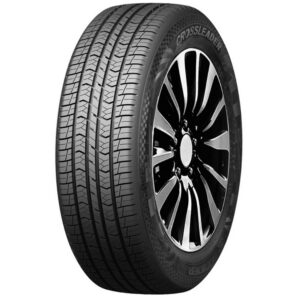 Double Star DSS02 225/55 R19 99V