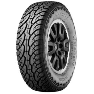 Evergreen ES89 215/75 R15 100/97R