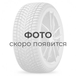 Rauffan Astrar R1 215/60 R16 99V XL
